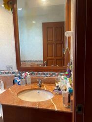 Simsville (D14), Condominium #555657911